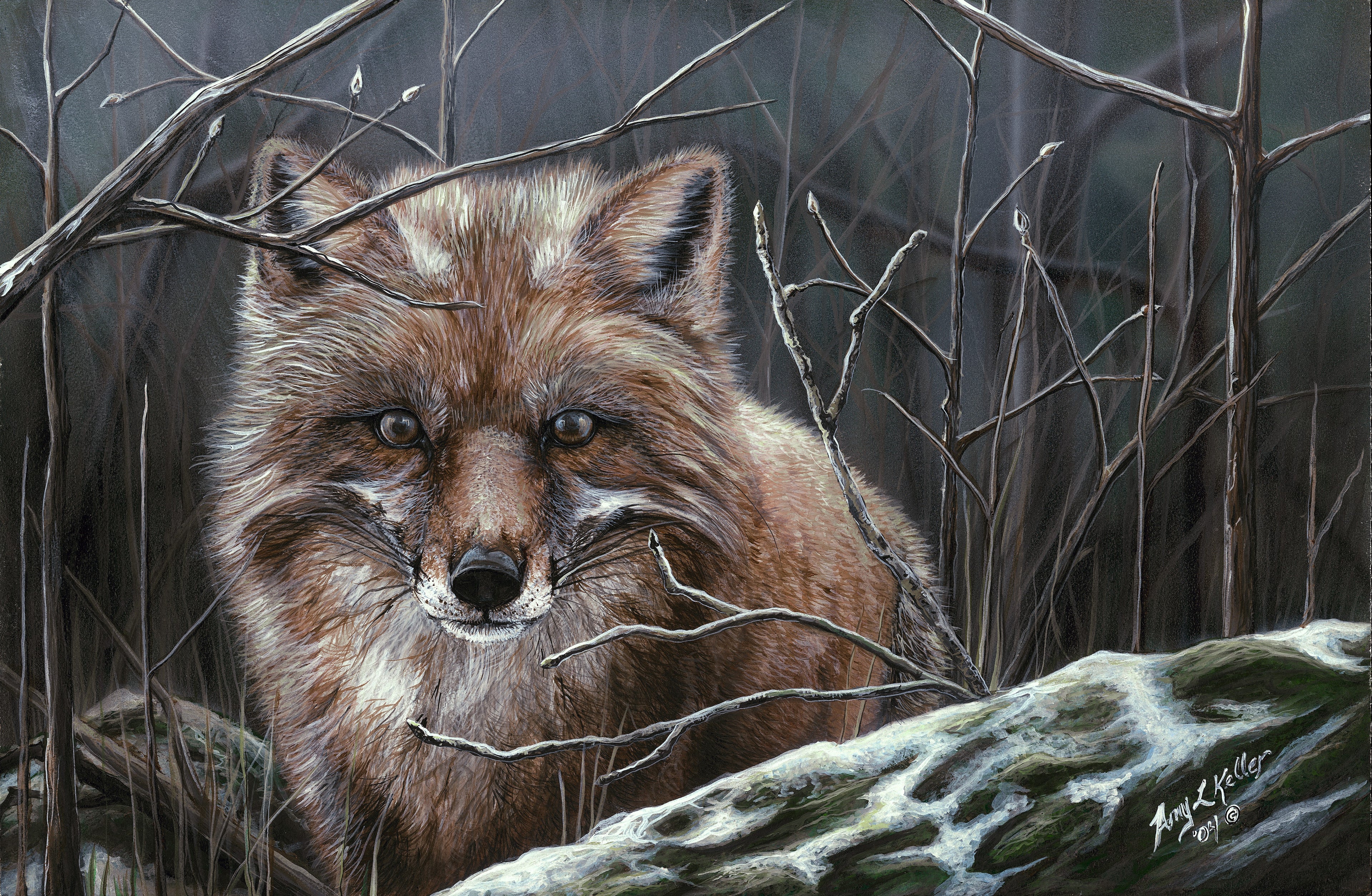 Misty Morning Fox Cards (blank inside)