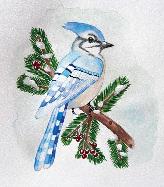 Blue Jay Cards (blank inside)